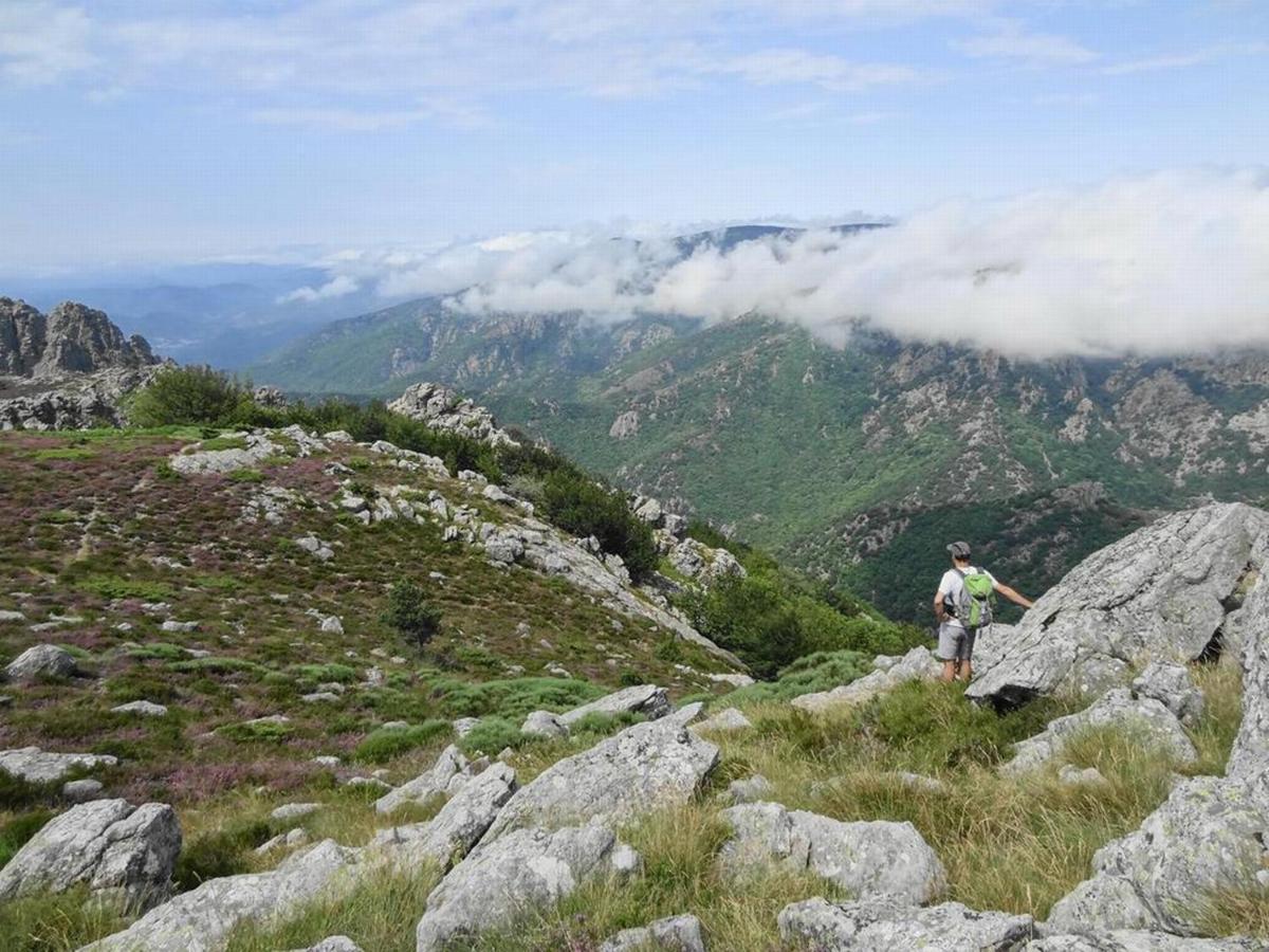 Villa Les Martinets-Piscine-Jacuzzi-Voie Verte-Gorges D'Heric-Massif Du Caroux Mons Olargues 34600 Le Poujol-sur-Orb Екстер'єр фото