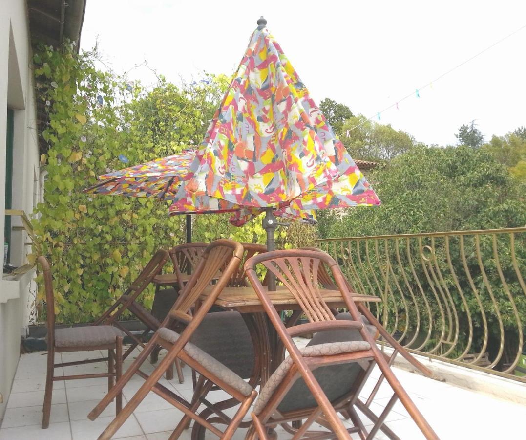Villa Les Martinets-Piscine-Jacuzzi-Voie Verte-Gorges D'Heric-Massif Du Caroux Mons Olargues 34600 Le Poujol-sur-Orb Екстер'єр фото