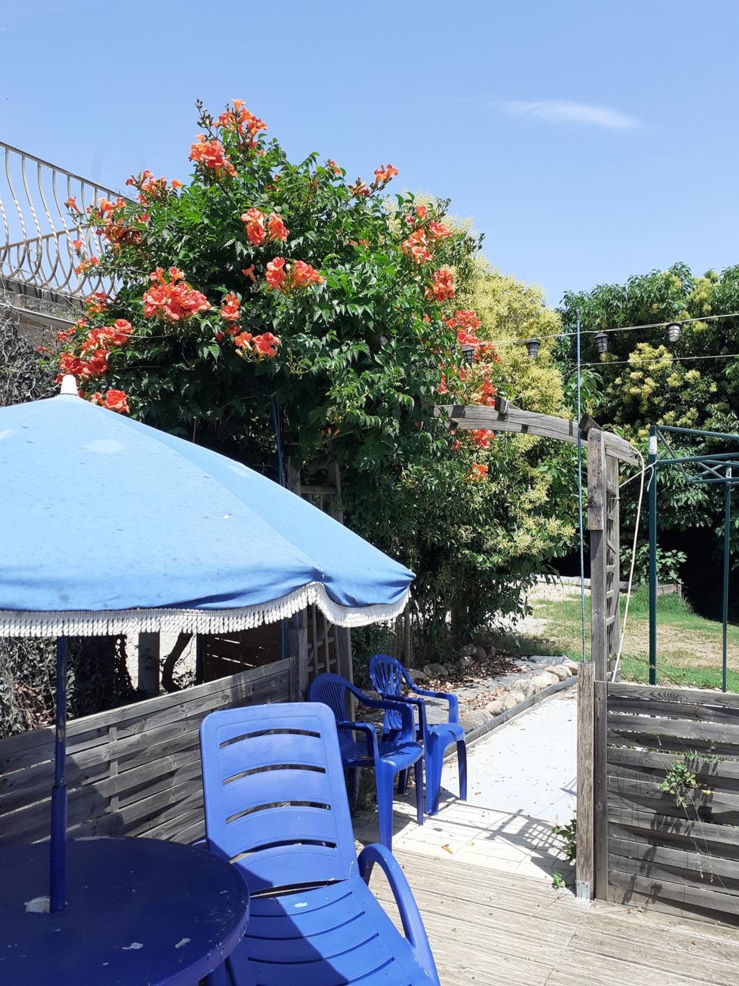 Villa Les Martinets-Piscine-Jacuzzi-Voie Verte-Gorges D'Heric-Massif Du Caroux Mons Olargues 34600 Le Poujol-sur-Orb Екстер'єр фото